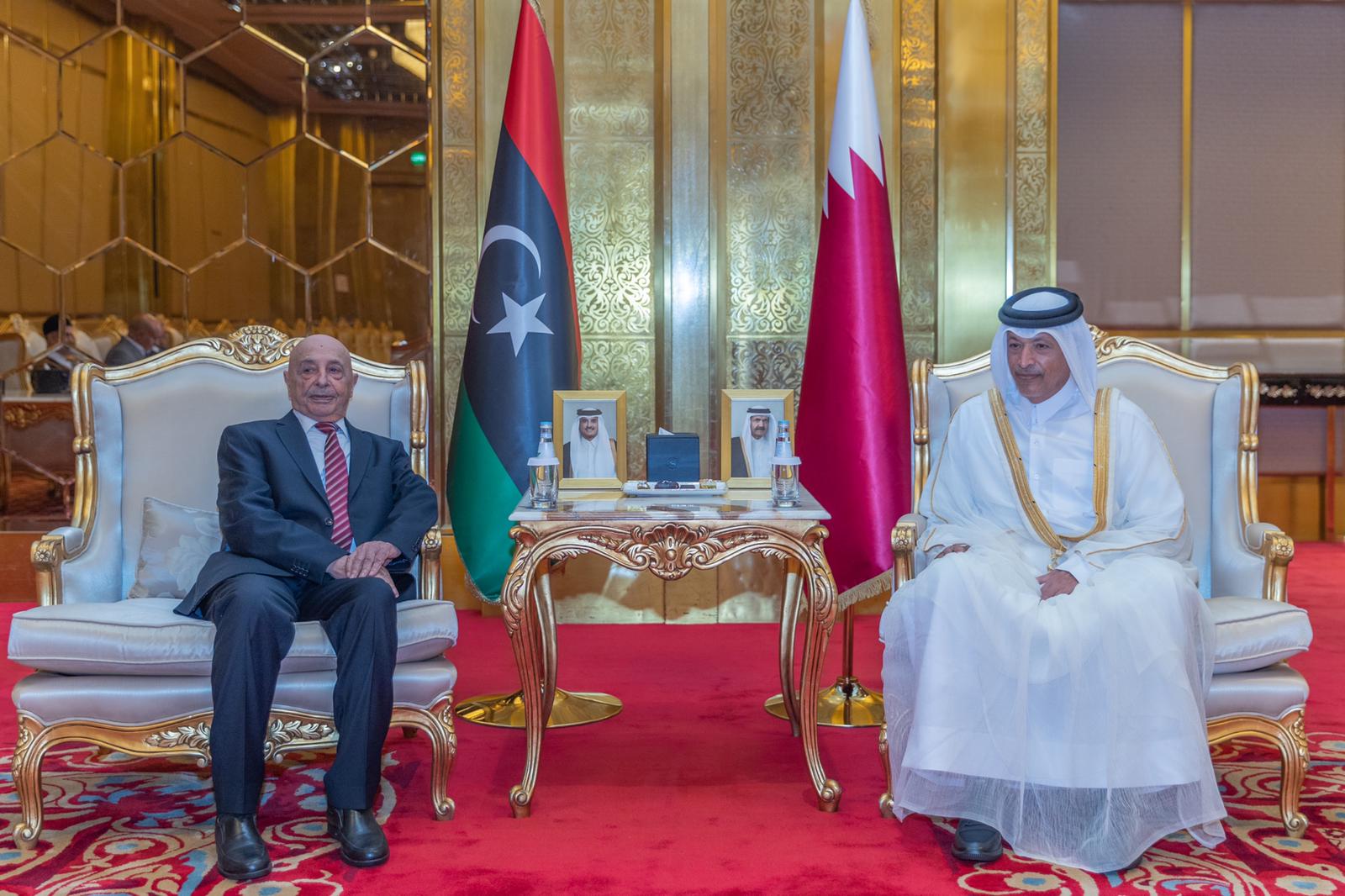 رئيس مجلس الشورى يجتمع مع رئيس مجلس النواب الليبي