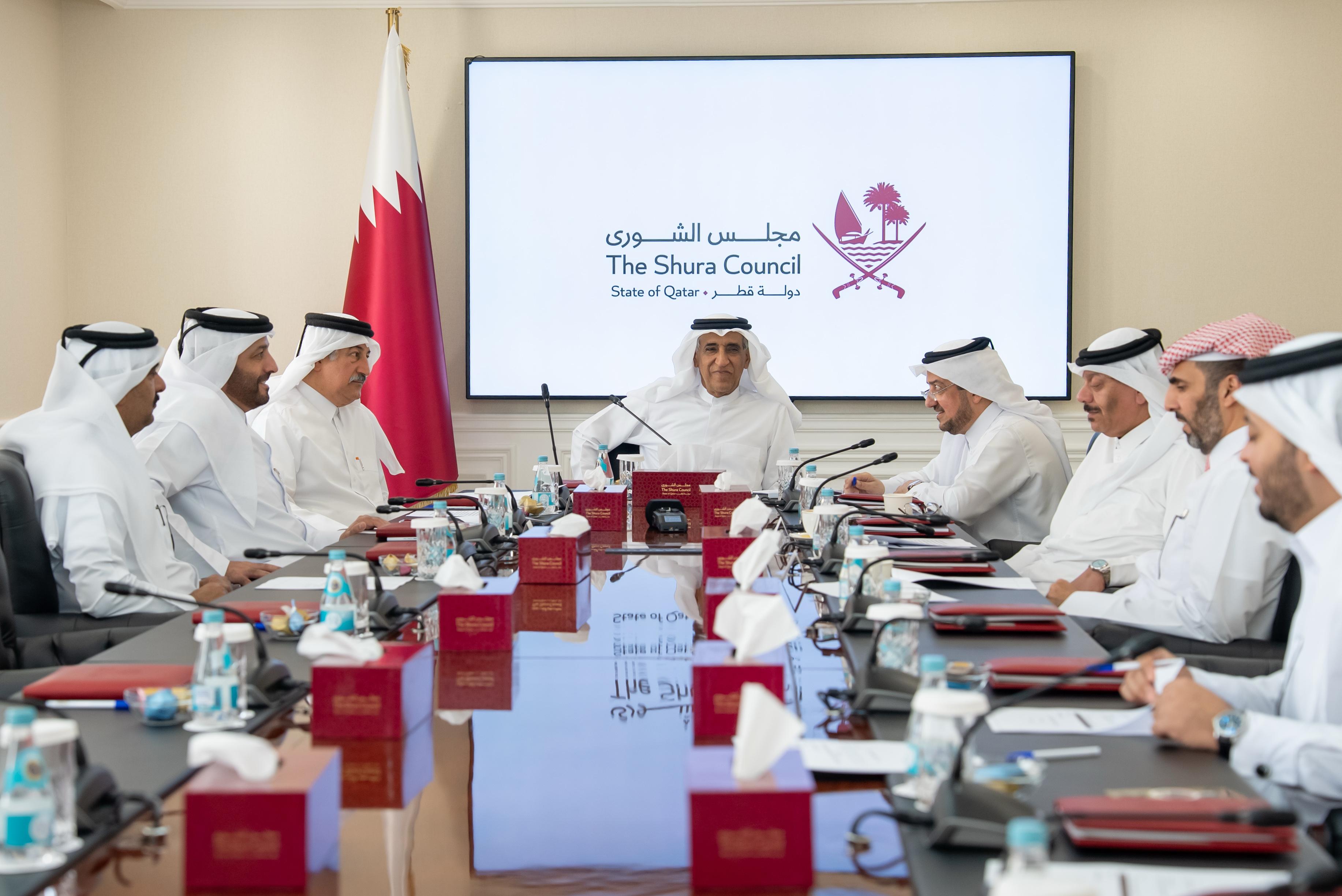 "الشؤون الاجتماعية" بالشورى تنهي دراسة "أوضاع ذوي الإعاقة"