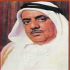 Mr Thamer Bin Ali Al Ibrahim